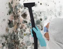 Best Mold Remediation for Healthcare Facilities in Spring Valley, NV